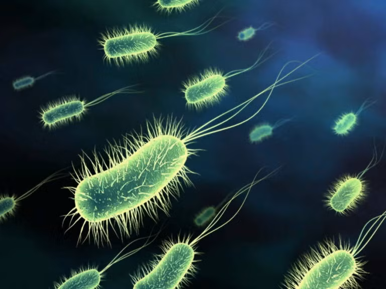 Probiotics. Cơ thể bạn hấp thu những dưỡng chất gì thì chính làn da của bạn sẽ phản ánh đúng điều đó. Probiotics là dưỡng chất có tác dụng nhằm lấy lại sự mất cân bằng hóa học mà cơ thể bạn đã phải mất đi do sự kiệt sức như stress hoặc thiếu kháng sinh. Vai trò chính của Probiotics chính là ngăn ngừa sự tác động của ánh nắng mặt trời đối với da và ngăn ngừa quá trình lão hóa.