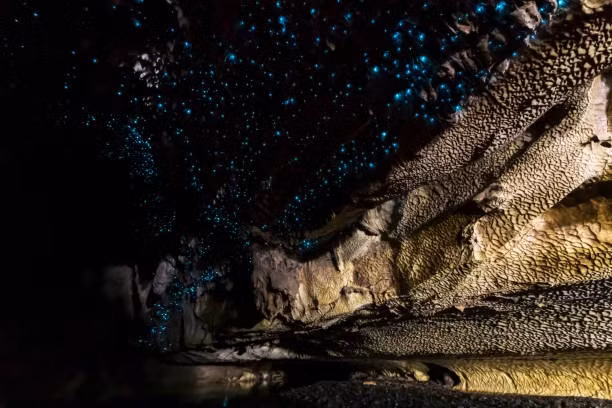 Đứng giữa hang động Waitomo Glow Worm, khách du lịch New Zealand sẽ ngỡ như đang lơ lửng giữa dải ngân hà với muôn ngàn vì sao lấp lánh.