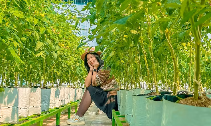 Sinh ra và lớn lên trong một gia đình thuần nông, bản thân lại yêu thích trồng trọt nên chị Hà Minh Đợi (SN1984), trú tại TP. Bắc Kạn đã bắt tay vào làm vườn trên sân thượng.