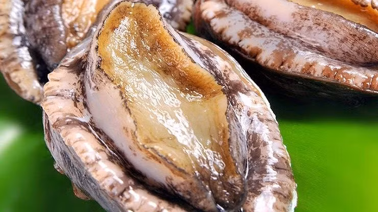 Bào ngư bắt được hay mua về, chỉ cần cho vào chậu nước rửa sạch đất cát. Sau đó chế biến thành nhiều món ngon