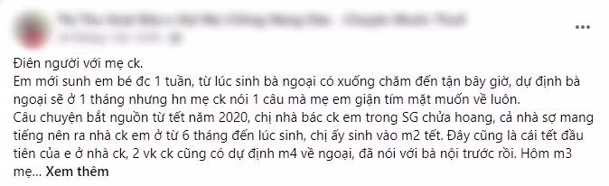 Xin me chong ve ngoai an Tet, ba 