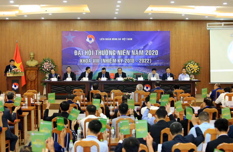 Dai hoi VFF khoa 9: Ung vien ghe 