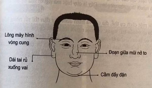 Đàn ông chuẩn chồng quốc dân thường sở hữu 3 nét tướng này - Hình 2 Dan ong chuan chong quoc dan thuong so huu 3 net tuong nay-Hinh-2