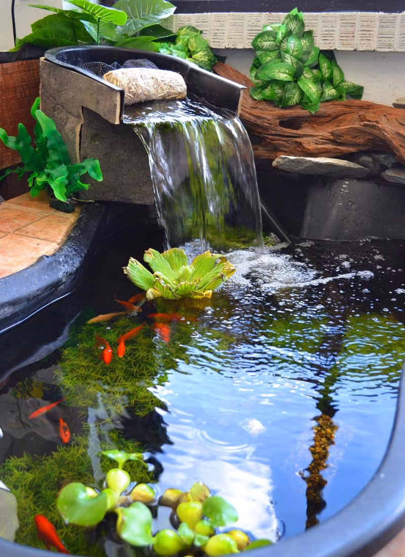 Tuy nhiên, từ xưa đến nay cấm kỵ, kiêng cữ và chú ý, đều tồn tại đạo lý nhất định, cũng thể hiện cho mọi người hướng tới một cuộc sống tốt đẹp, hiểu một chút không sao, có tin hay không thì tùy thuộc vào chính mỗi người. * Thông tin mang tính chất tham khảo, chiêm nghiệm 