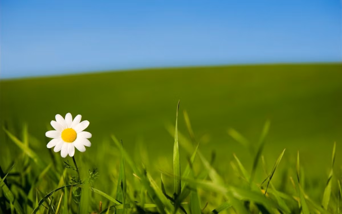 May mắn thay, người sinh tháng Âm lịch này lại nhanh chóng lấy lại cân bằng, giữ vững tâm lý để tích cực vươn lên, thoát khỏi "đáy vực" của thất bại.