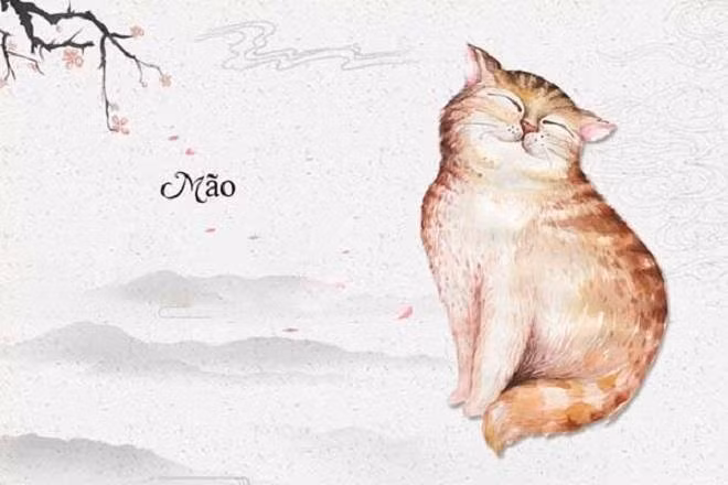 Tuổi Mão. Tuổi Mão trời sinh ra là những người thông minh, lanh lợi, biết đối nhân xử thế nên được lòng mọi người. Người tuổi Mão có thể ấp ủ nhiều con đường tắt dẫn đến thành công, tìm cho mình một lối đi riêng an toàn và khác biệt người xung quanh.