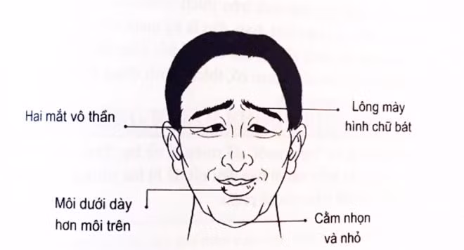Người sở hữu 2 thứ mỏng, 2 vị trí nhỏ đen cả tình lẫn tiền - Hình 2 Nguoi so huu 2 thu mong, 2 vi tri nho den ca tinh lan tien-Hinh-2
