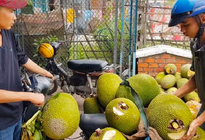 Nghe cuc la: Ngui mit thue moi ngay kiem ca trieu dong-Hinh-4