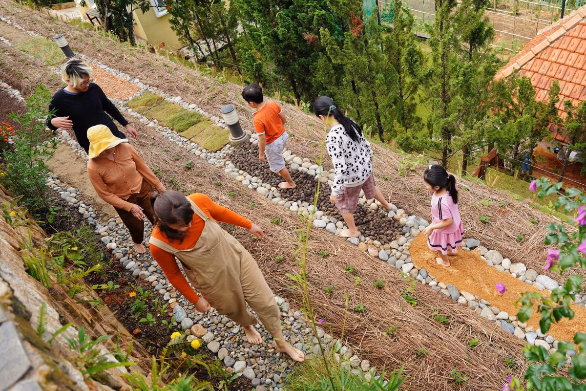 Biet thu phong cach Phap voi khu vuon 3.000m2 trong hoa trai-Hinh-5