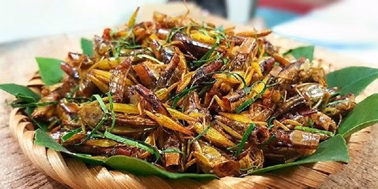Sau khi bắt về, muỗm được sơ chế qua: Vặt cánh, bẻ chân, ngắt đầu, rút ruột rồi để chế biến món ăn ngon. Thịt muỗm chín thơm và béo ngậy, cái vị béo ngậy ấy dù khó diễn tả nhưng không bao giờ quên được.