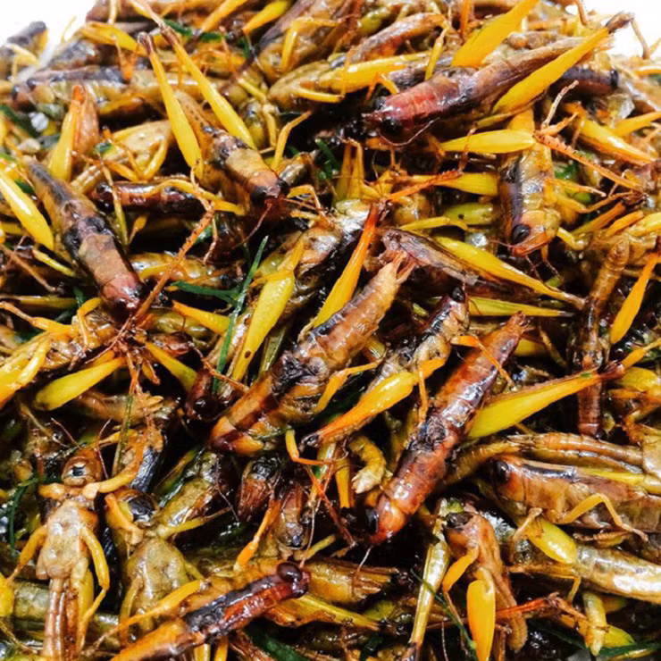 Muồm muỗm rang Mường Lò còn là một đặc sản ngon nức tiếng tại Yên Bái, không thể thiếu trên bàn nhậu.
