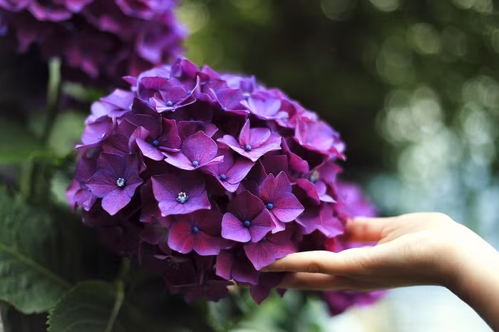 Người có giờ sinh này, tiền bạc đầy kho, hôn nhân viên mãn - Hình 2 Nguoi co gio sinh nay, tien bac day kho, hon nhan vien man-Hinh-2