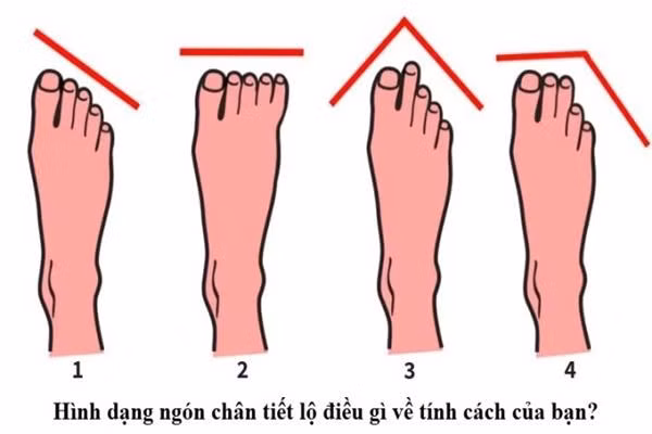  Hãy thử tìm hiểu thêm về bản thân với bài trắc nghiệm vui này nhé. Ngón chân Ai Cập. Nếu tất cả các ngón chân của bạn thấp dần từ ngón cái đến ngón út, tạo thành một đường thẳng thì đây là kiểu ngón chân Ai Cập.