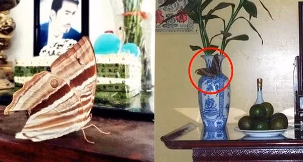 Trong nhà xuất hiện 4 dấu hiệu gia chủ giàu sang phú quý Trong nha xuat hien 4 dau hieu gia chu giau sang phu quy