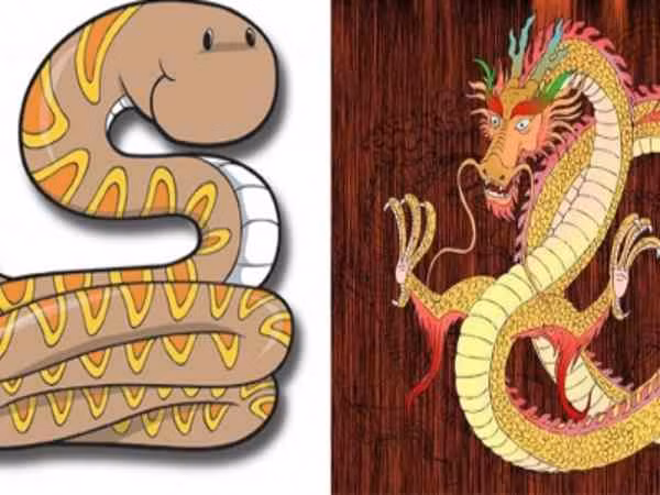 Tuổi Tị. Nhờ cát tinh trợ mệnh, vận khí của người tuổi Tị có nhiều điểm sáng. Từ công danh sự nghiệp đến học hành thi cử của bản mệnh đều thuận lợi. Người đang chờ kết quả thi cử sẽ nhận được tin tốt lành.