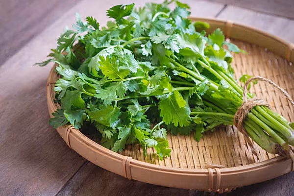 Thực phẩm quen thuộc giúp loại bỏ độc tố khỏi máu - Hình 2 Thuc pham quen thuoc giup loai bo doc to khoi mau-Hinh-2