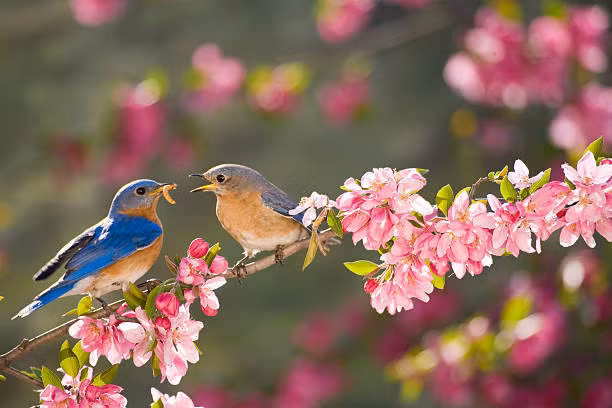 Sinh vào ngày Âm lịch này vận mệnh may mắn, cuộc sống thuận lợi - Hình 2 Sinh vao ngay Am lich nay van menh may man, cuoc song thuan loi-Hinh-2