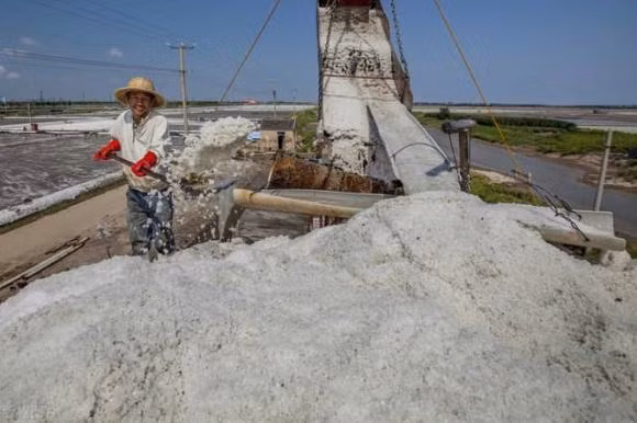Tai sao co nhieu muoi trong bien, va muoi nay den tu dau?
