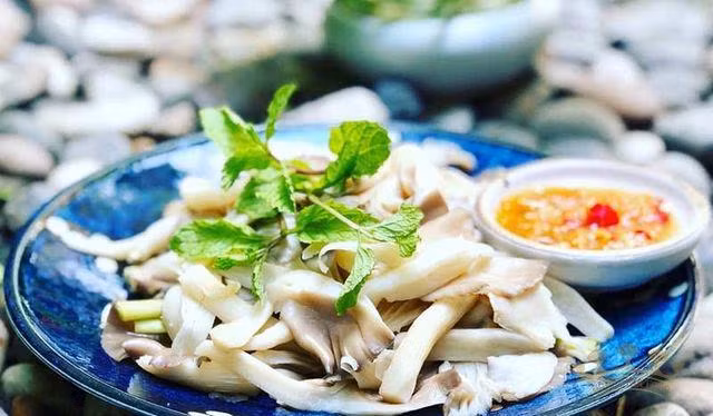 Loài thực vật ngừa ung thư cùng nhiều bệnh nguy hiểm - Hình 3 Loai thuc vat ngua ung thu cung nhieu benh nguy hiem-Hinh-3