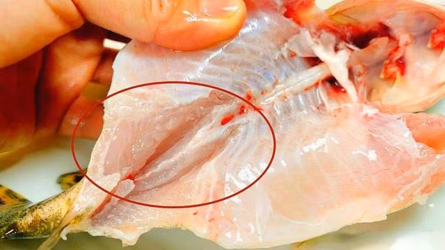Hấp cá, cho 3 thứ này, đảm bảo ngọt thịt lại không tanh - Hình 2 Hap ca, cho 3 thu nay, dam bao ngot thit lai khong tanh-Hinh-2