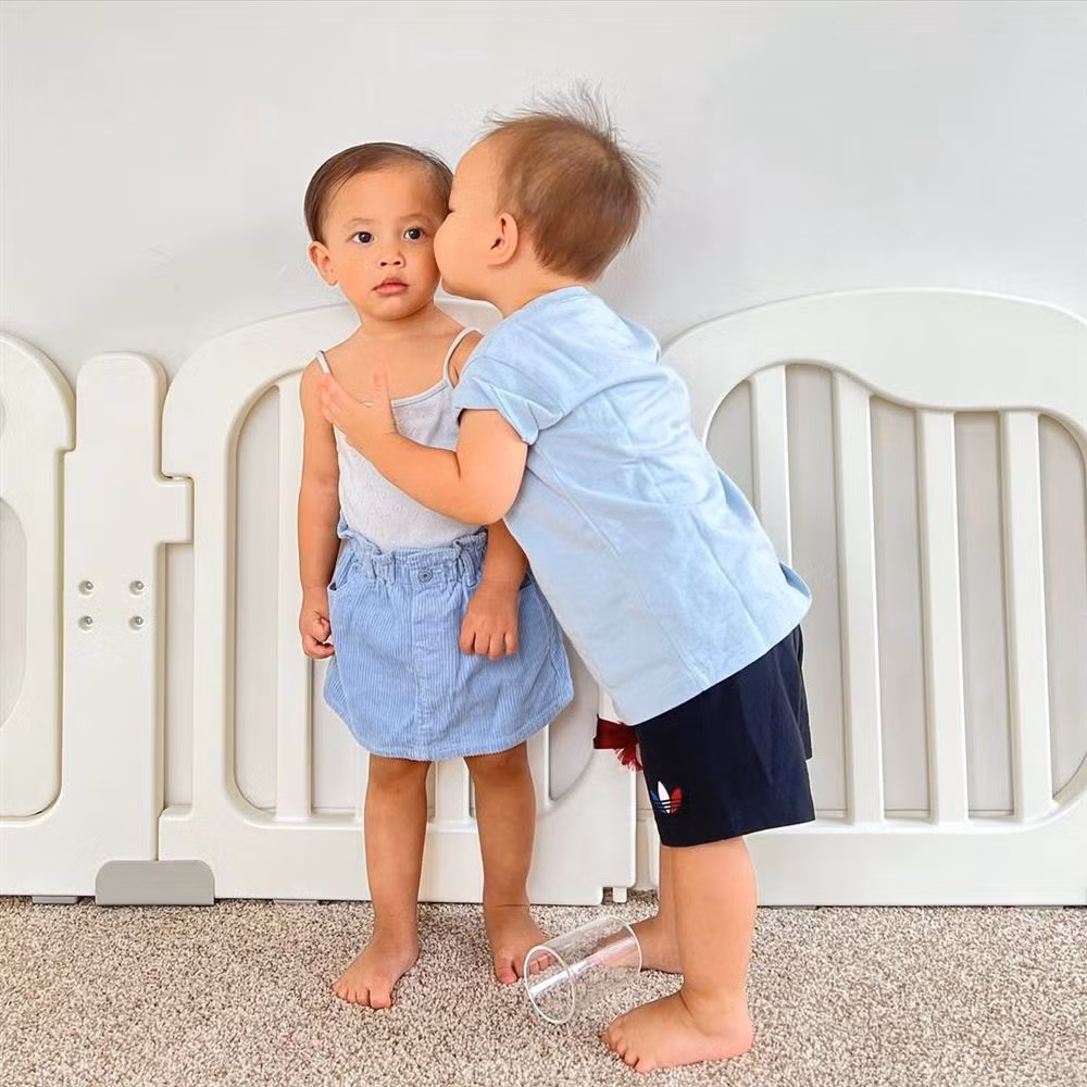 Ho Ngoc Ha gay tranh cai khi nhac bong con gai Lisa-Hinh-10