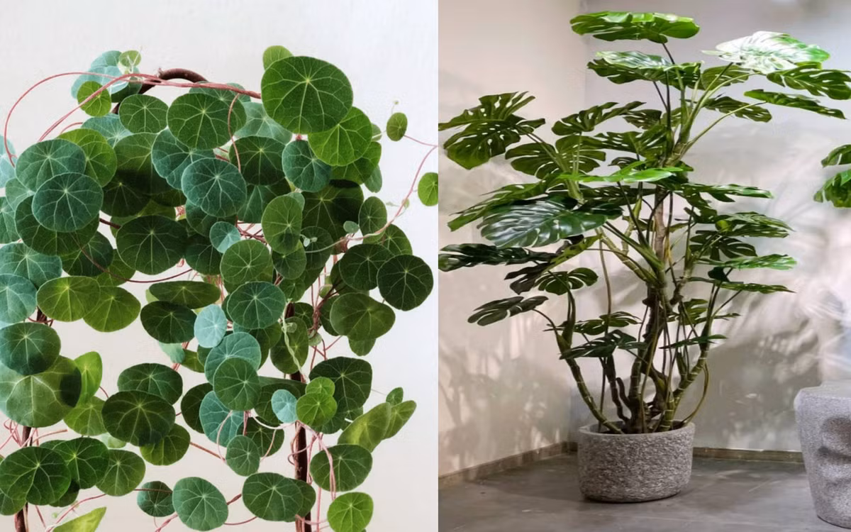 Sau nghỉ lễ, 4 con giáp phất nhanh như Rồng, tiền về tới tấp - Hình 2 Sau nghi le, 4 con giap phat nhanh nhu Rong, tien ve toi tap-Hinh-2