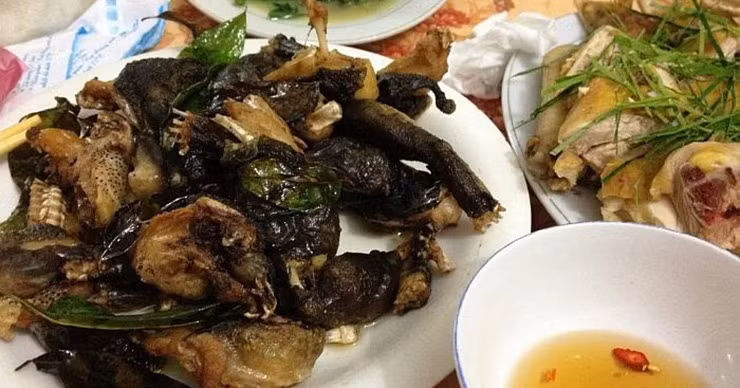 Con đực có gai ở cổ dưới. Nhiều người cho rằng, đấy là vương miện bị đeo lệch từ trên đầu xuống dưới của loài ếch này.