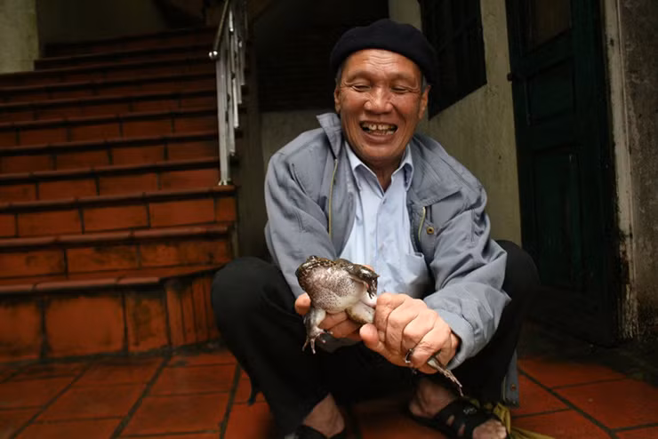 Tại các tỉnh miền Bắc, chỉ duy nhất tại Lạng Sơn người ta mới tìm thấy giống ếch này.
