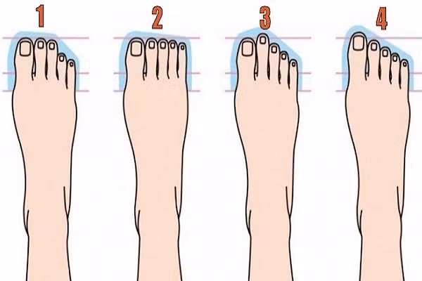  5 ngón chân xếp thành một hàng dài bằng nhau. Trong nhân tướng học, nếu bàn chân có 5 ngón chân xếp thành một hàng thì gọi là tướng bàn chân Ai Cập. Phần lớn những người sở hữu tướng bàn chân này người mang tướng ngón chân này thường có được cuộc đời bình an, vui vẻ. Tài lộc của bạn khá thịnh vượng. Những người này có cuộc sống viên mãn ít ai sánh bằng càng có tuổi họ càng sung túc đủ đầy.