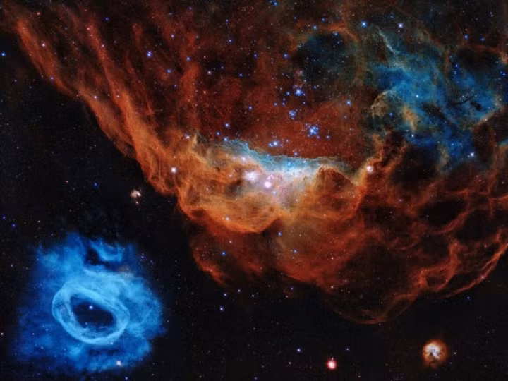 Tinh vân khổng lồ NGC 2014 và hàng xóm của nó là tinh vân NGC 2020 hình thành một "vườn ươm sao", nơi các ngôi sao được tạo ra.
