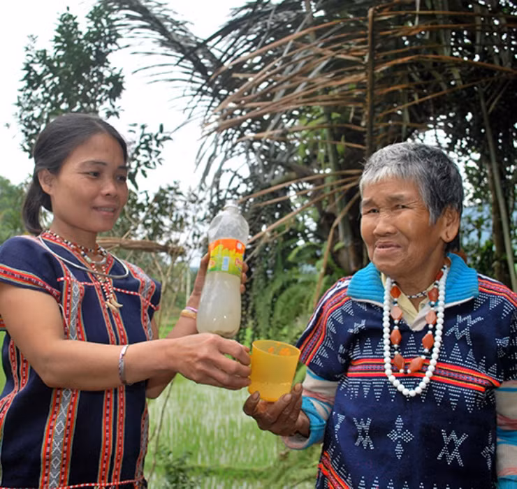 Bên cạnh đó, khoảng cách từ cây đến bờ suối cũng là một trong những yếu tố quyết định độ ngon của rượu.
