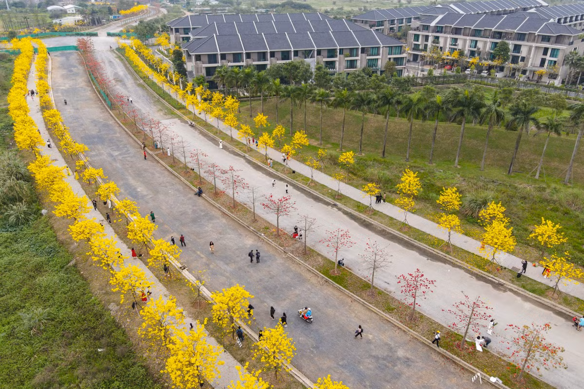 Cung đường dài khoảng 400 m nằm trong một khu đô thị tại quận Hà Đông (Hà Nội) trở thành địa điểm "sống ảo" mới của nhiều người dân thủ đô.