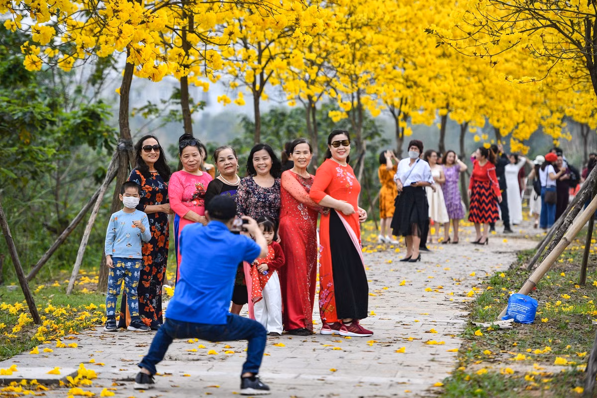 Nhiều người khác đi theo nhóm, diện áo dài để chụp ảnh cùng hàng hoa phong linh đang khoe sắc.
