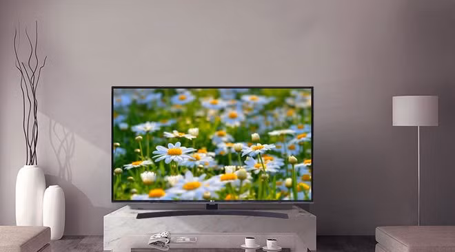 5 thứ được coi là tiêu sản: Lúc mua đắt nhưng dễ mất giá 5 thu duoc coi la tieu san: Luc mua dat nhung de mat gia