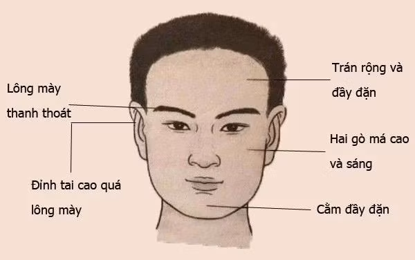 Đàn ông có khuôn mặt vuông vức, đầy đặn. Một người đàn ông có khuôn mặt vuông vức, tướng cằm đầy đặn thường sở hữu nhiều tài sản ruộng đất. Nhưng người này có ý chí kiên cường, nhiều tiền tài, ý chí, đồng thời cũng cho biết vận mệnh cuối đời của người đó.