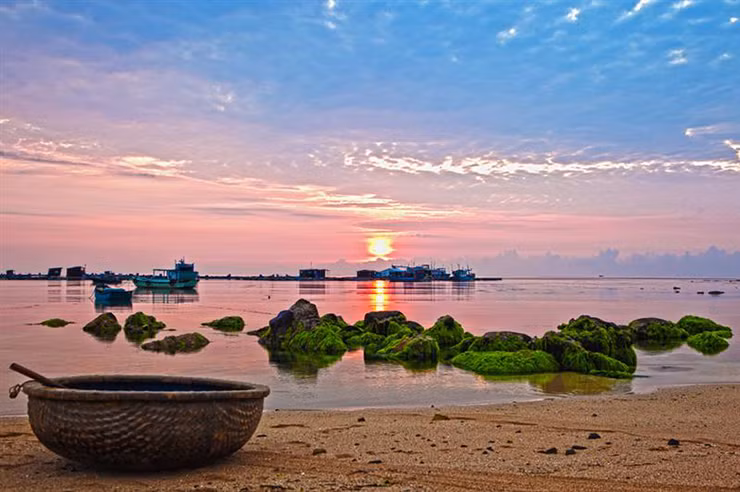Ở Việt Nam, cua mặt trăng thường xuất hiện theo mùa gió nam tại vùng biển đảo Phú Quý (Bình Thuận)