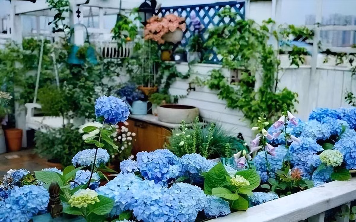 Phụ nữ sinh ngày Âm lịch nào thì sống phú quý cả đời viên mãn? - Hình 3 Phu nu sinh ngay Am lich nao thi song phu quy ca doi vien man?-Hinh-3