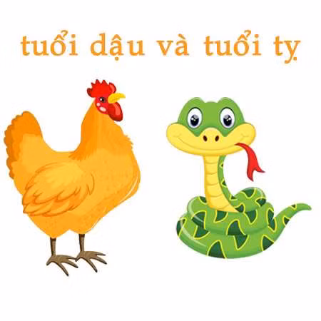 Những người con tuổi Dậu hầu hết là những con người sống tình cảm, bị cảm xúc chi phối. Chính vì thế, khi gặp chuyện họ đều ít khi giữ được bình tĩnh, mà sẽ bối rối và không biết xử trí như thế nào. Tuy nhiên, nhờ sự chỉ bảo của các bà mẹ tuổi Tỵ mà tuổi Dậu sẽ có những phương án phù hợp, tích cực trong từng tình huống cụ thể. Cặp mẹ con Tỵ - Dậu chính là sự phối hợp hoàn hảo giúp cho gia đình luôn êm ấm hòa thuận, giàu có.