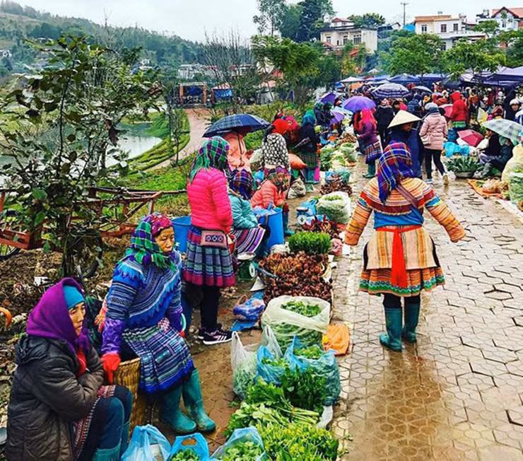 Tại các chợ phiên của người dân ở Tây Bắc, rau lỗ bình được bán đại trà, là rau lạ lại sạch và ngon nên rất được ưa chuộng.
