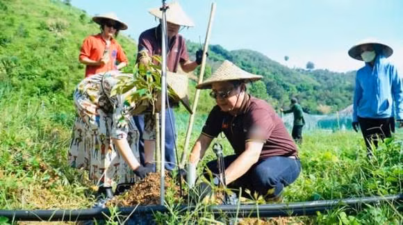 Cuoc song hien tai cua NSUT Chi Trung sau thoi gian nghi huu-Hinh-20