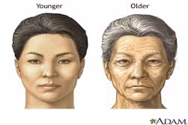 Tuy nhiên, ngay cả khi nó sụt giảm nhanh, hầu hết các chức năng vẫn đủ để hoạt động. Ví dụ, nửa lá gan bị phá hủy, mô còn lại vẫn có thể duy trì chức năng lọc máu bình thường. Như vậy, lão hóa là quá trình bình thường mà ai cũng mắc phải.