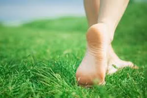 Đi bộ chân trần là một trong những cách dễ nhất và tốt nhất để tiếp xúc với đất. Nhưng bạn vẫn nên thực hiện điều đó trên bề mặt thích hợp. Nhiều bề mặt đất trong thế giới hiện đại của chúng ta ngày nay không thể chuyển tải điện tử giữa đất và cơ thể bạn mà còn gây hại cho sức khỏe như nhựa đường, gỗ, cao su, nhựa.