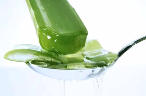 Lô hội. Bẻ một chiếc lá lô hội và bôi trực tiếp lên da đầu khoảng 10 phút rồi xả sạch. Lô hội sẽ giúp quyết các vấn đề về mẩn ngứa.