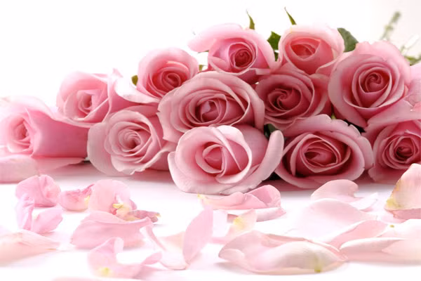 Hồng là loại hoa chứa hầu như đầy đủ các chất trong Bảng hệ thống tuần hoàn. Chúng chứa canxi giúp cơ thể trao đổi chất tốt và tiêu hoá các loại thức ăn. Kali trong hoa hồng có vai trò quan trọng cho hoạt động của tim, chất đồng thì giúp chống lại bệnh ho ra máu và cải thiện các tuyến nội tiết.