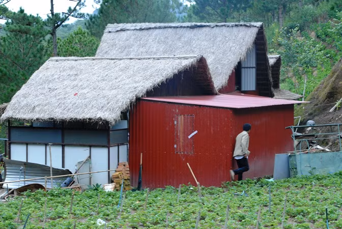 Trong quầy bán đặc sản này là đường hầm đào thiếc