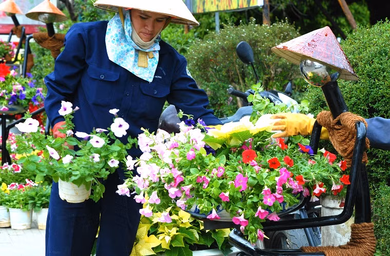 Hoa dạ yến thảo xếp thành tượng người đang ôm hoa.