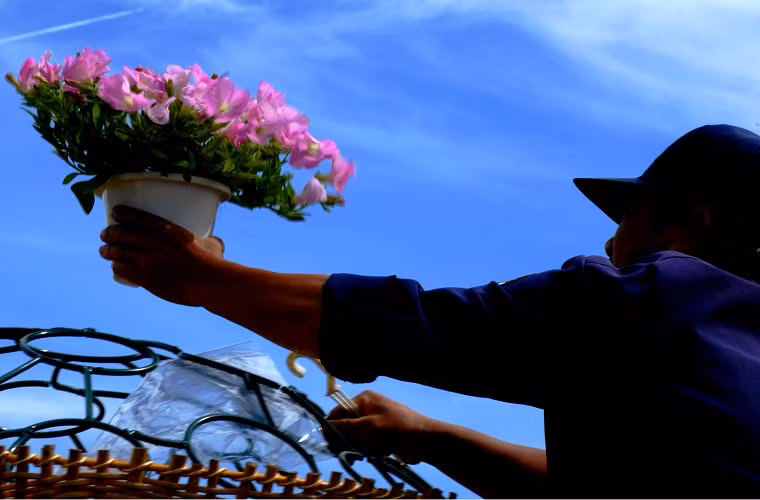 Giỏ hoa đầu tiên đang được đưa ra trưng bày tại cầu Ông Đạo, bên hồ Xuân Hương.