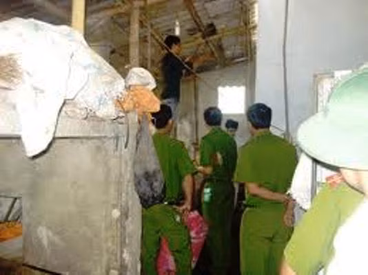 Ảnh minh họa