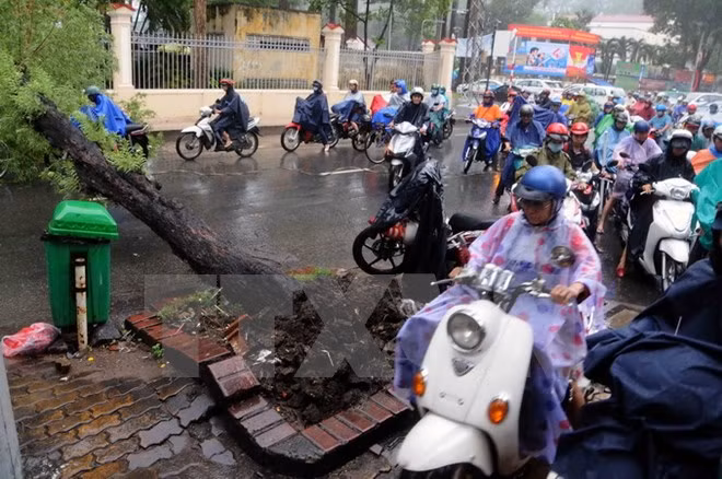 TP HCM: Mua lon, cay xanh do hang loat lam nhieu nguoi bi thuong-Hinh-4