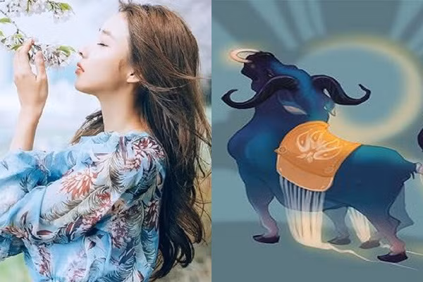  Hạng 2 - Tuổi Sửu: Cô gái tuổi Sửu là người có trái tim nhân hậu và rất tốt bụng. Đôi khi họ sẵn sàng hy sinh lợi ích cá nhân mình để dành vinh quang cho cả tập thể. Trong gia đình, tính kiên nhẫn của cô nàng tuổi Sửu càng nhiều và dễ dàng tha thứ cho mọi người. Bởi vậy cô ấy được các thành viên trong gia đình kính trọng con cái hiếu thảo.